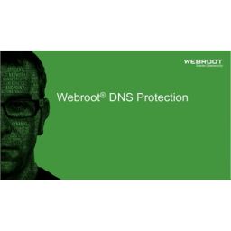 Antivirusinė programa Webroot DNS Protection with GSM Console, trukmė 2 metai, licencija 10-99 vartotojams