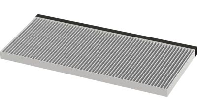 Filtras BOSCH DWZ2IT1B4 Clean Air Standard