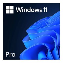 Operacinė sistema Microsoft FQC-10572 Win 11 Pro FQC-10572 | ESD