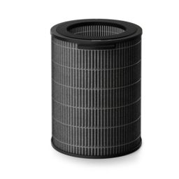 Oro filtras Philips FY3437/00 NanoProtect Pro S3 drėkintuvui-valytuvui juodas