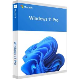 Operacinė sistema Microsoft FQC-10528 Win 11 Pro 64Bit Eng Intl 1pk DSP OEI DVD