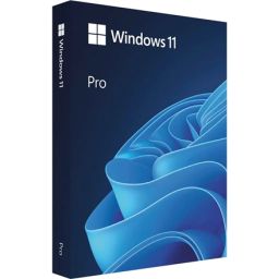 Programinė įranga Microsoft Windows 11 Pro N FWC-03370 ESD 64-bit visos kalbos 1 licencija